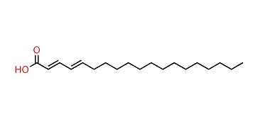 Nonadecadienoic acid